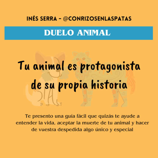 Tu animal es protagonista de su propia historia Tu animal es protagonista de tu propia historia (Abrazar el miedo relato 1)