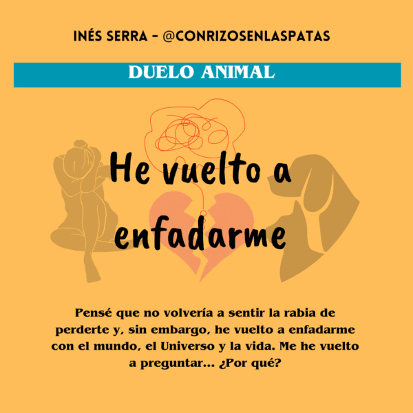 He vuelto a enfadarme (Abrazar el miedo relato 5)